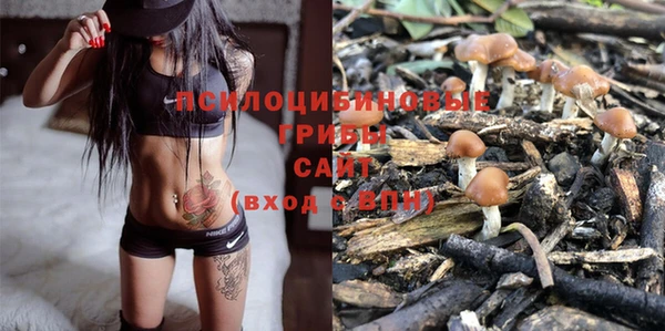 тгк Абинск
