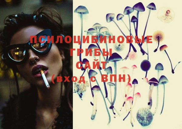 тгк Абинск