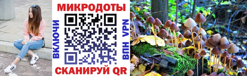 Псилоцибиновые грибы GOLDEN TEACHER  Волоколамск 