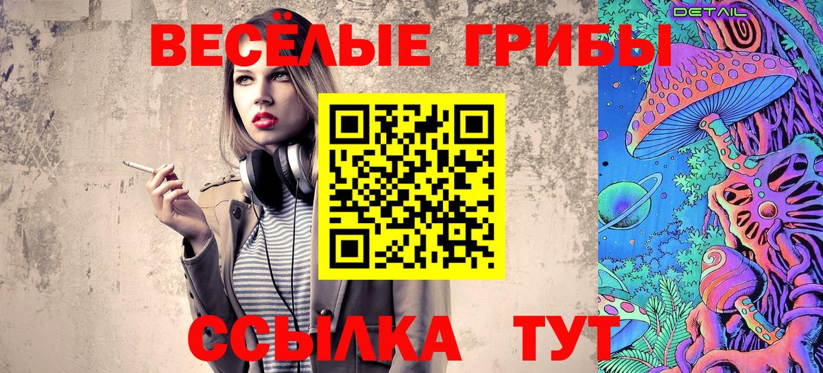 Псилоцибиновые грибы Cubensis Волоколамск