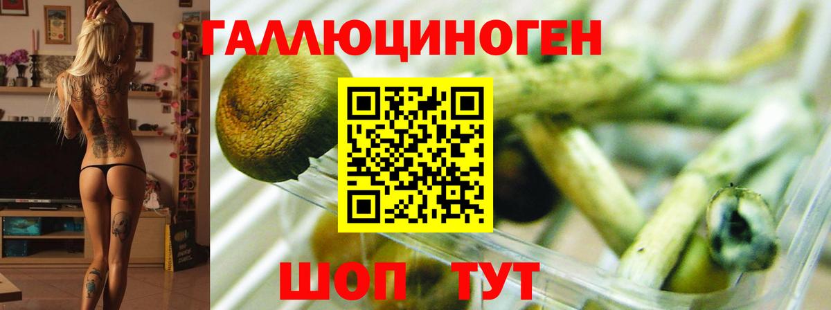 Галлюциногенные грибы GOLDEN TEACHER  Галлюциногенные грибы мицелий  Вход с VPN  Волоколамск 
