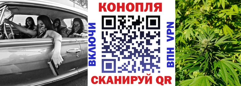 Бошки Шишки Amnesia  купить наркотики сайты  Волоколамск 